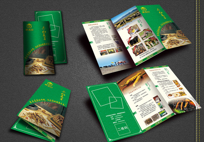 折頁產(chǎn)品說明書宣傳單可做多折黑白彩色來圖定制印刷