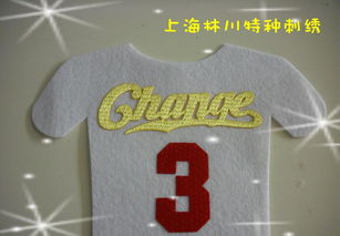 熱轉(zhuǎn)印彩色仿繡花3D印標(biāo) 價(jià)格、廠家與圖片全解析